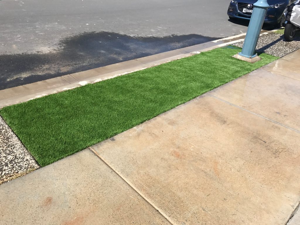 Artificial Turf The Home Handyman   IMG 2425 1024x768 